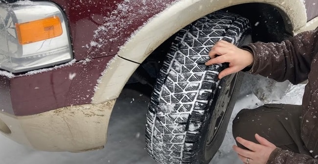 Bridgestone Blizzak DM V2 Review: Is It Worth Buying? - DrivingPress