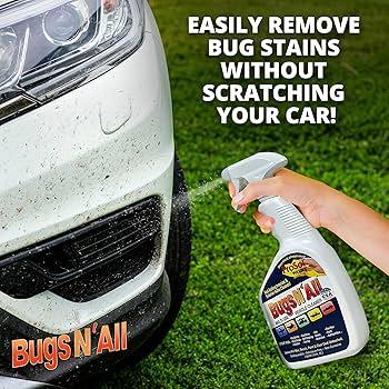 Steps to Remove Bug Stains