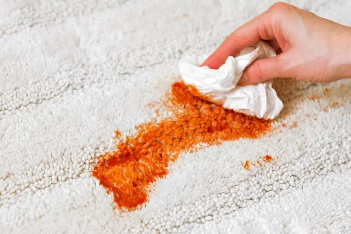 Why Is It Important to Remove Stains Promptly?