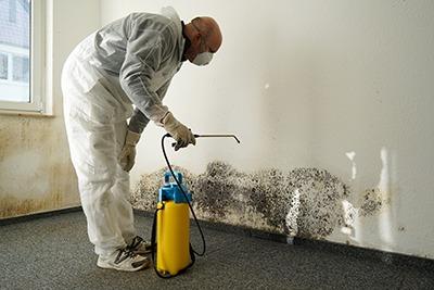 Dealing with Mold Odor