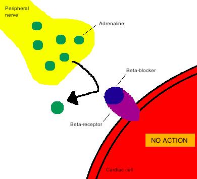 Definition and Mechanism