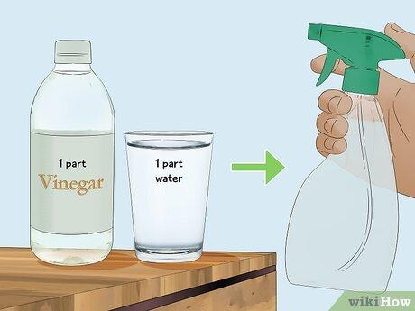 Preparing a Vinegar Solution