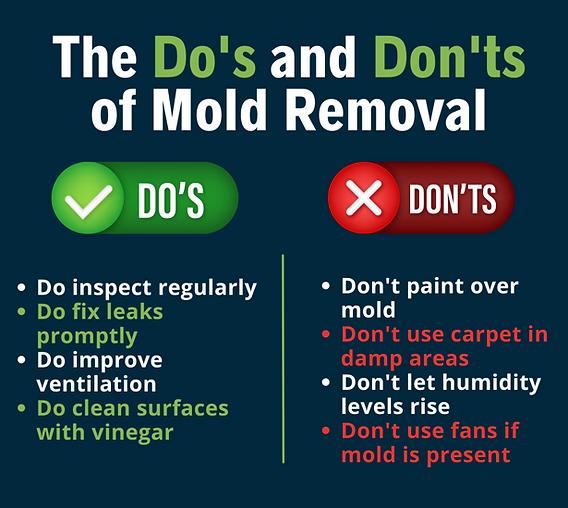 Understanding the Causes of Mold in Your Car Trunk