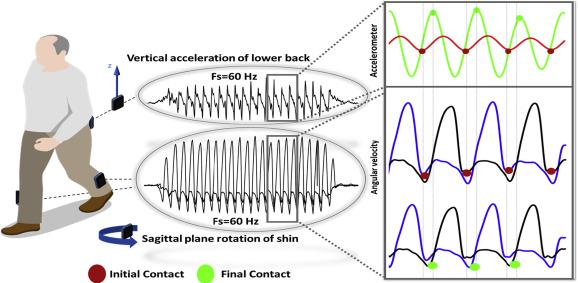 Who is Affected by the Movement from 1 to 2?